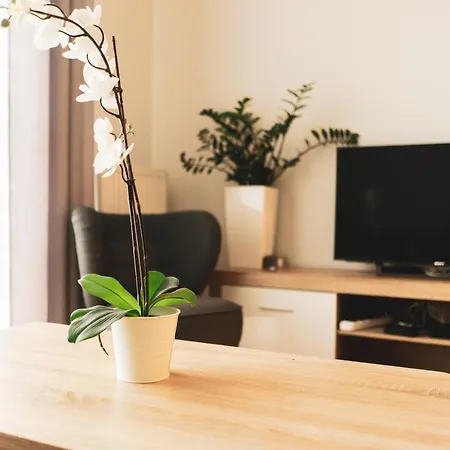 Przy Mocaku Ii 公寓